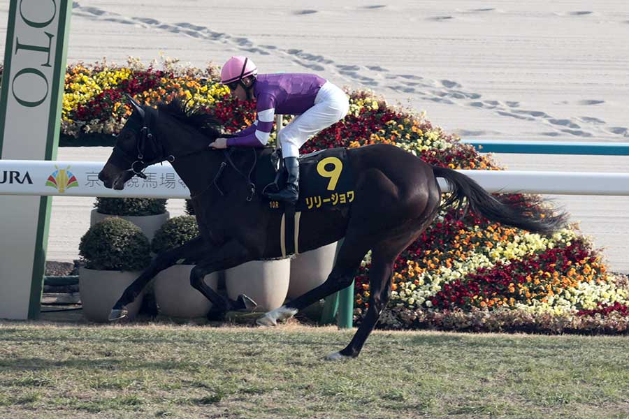 紅梅ステークスで圧勝したリリージョワ【写真：産経新聞社】