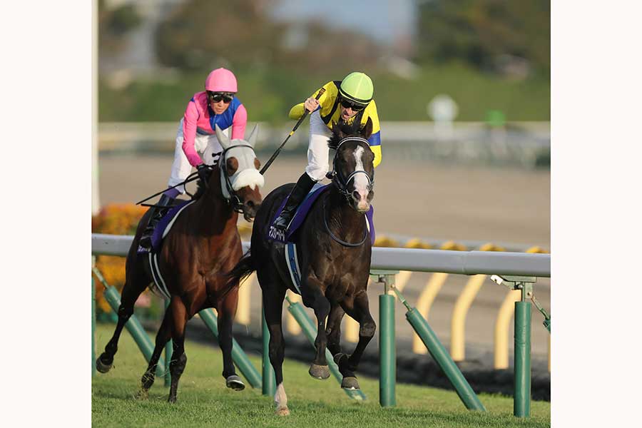 G1天皇賞・秋を制したマスカレードボール【写真：スポーツ報知/アフロ】