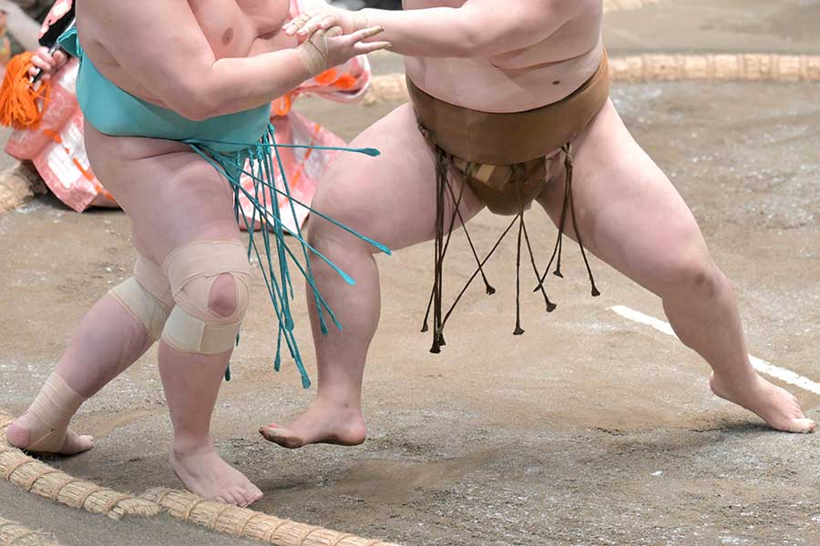 大相撲中継に映ったピン芸人が話題に【写真：スポーツ報知/アフロ】