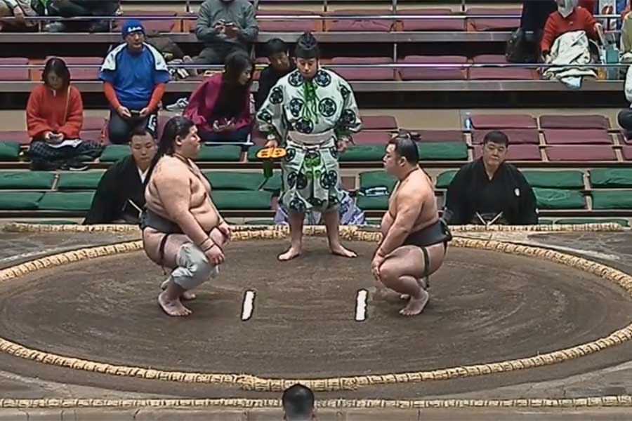 初場所十三日目、鶴英山（左）に勝って三段目優勝を決めた花の富士【写真：（C）AbemaTV,Inc.】