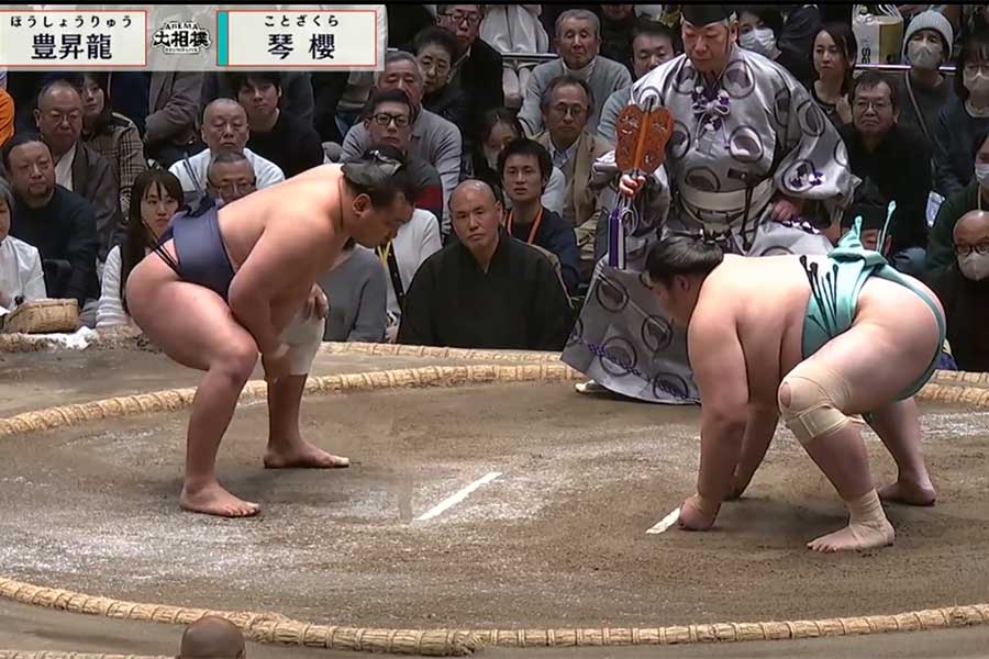 大相撲初場所の十四日目、土俵に上がった豊昇龍と琴櫻（右）【写真：（C）AbemaTV,Inc.】
