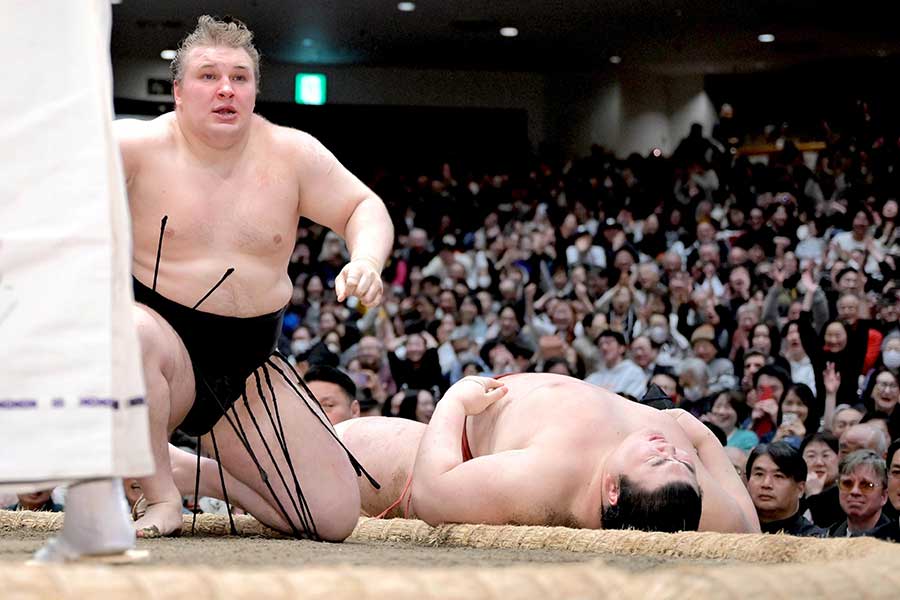 大相撲初場所、優勝決定戦で勝利した安青錦(左)【写真:スポーツ報知/アフロ】