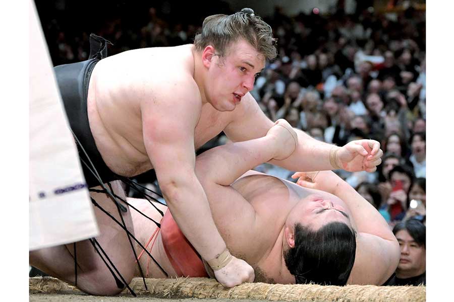 大相撲初場所、優勝決定戦で勝利した安青錦（左）【写真：スポーツ報知/アフロ】