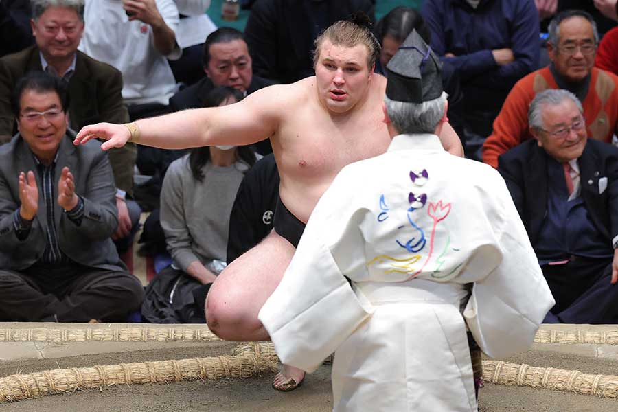 大相撲初場所、優勝した安青錦（奥）【写真：産経新聞社】