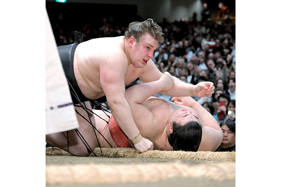 今初場所を制した安青錦（左）【写真：スポーツ報知/アフロ】