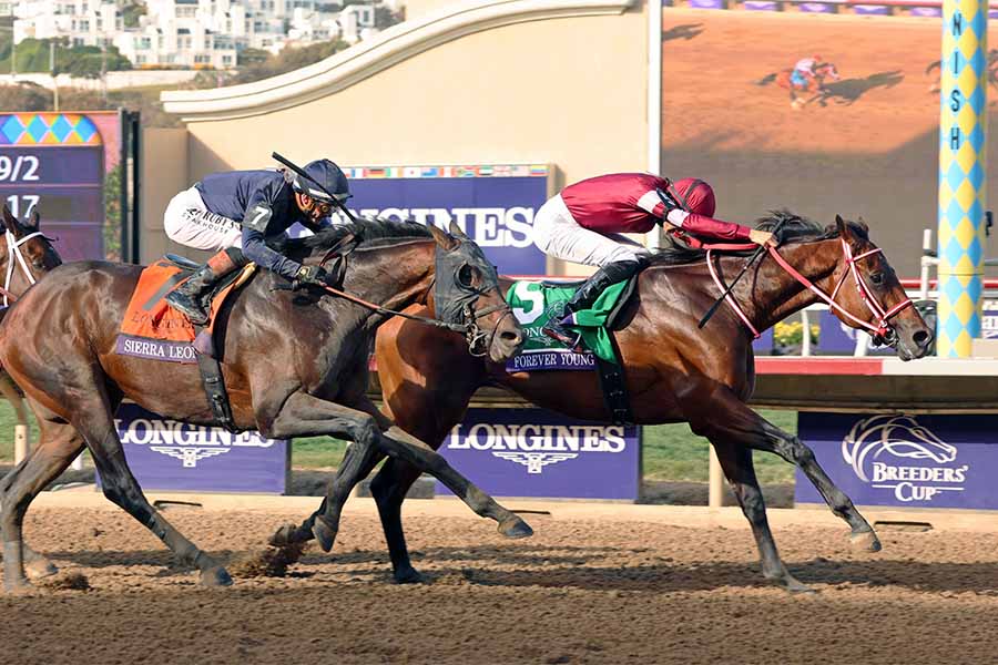 昨年の米BCクラシックを制したフォーエバーヤング（右）【写真：スポーツ報知/アフロ】