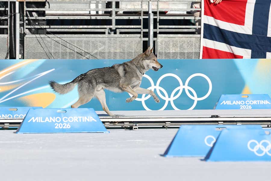 クロスカントリースキー女子団体スプリントフリーで珍事発生【写真：Action Press/アフロ】