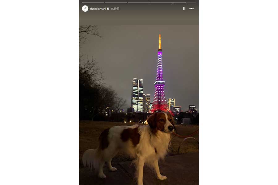 大谷翔平が公開したデコピンの最新ショット（画像は大谷翔平のインスタグラムのスクリーンショット）