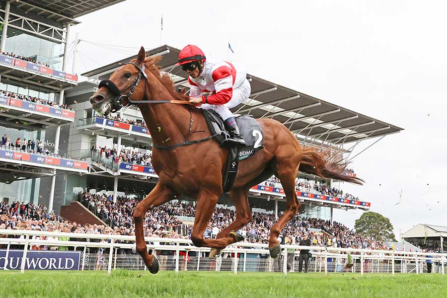 ダノンデサイル【写真：スポーツ報知/アフロ】