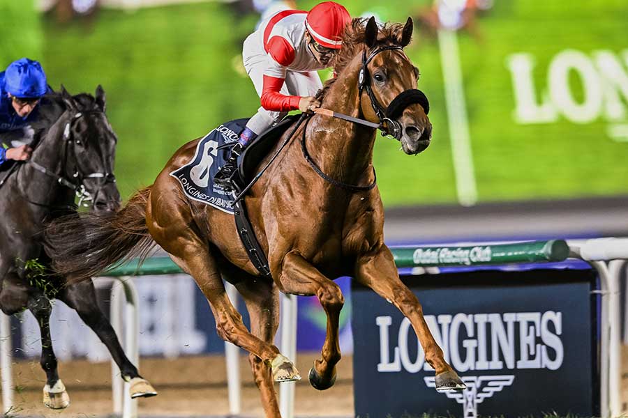 ダノンデサイル【写真：AP/アフロ】