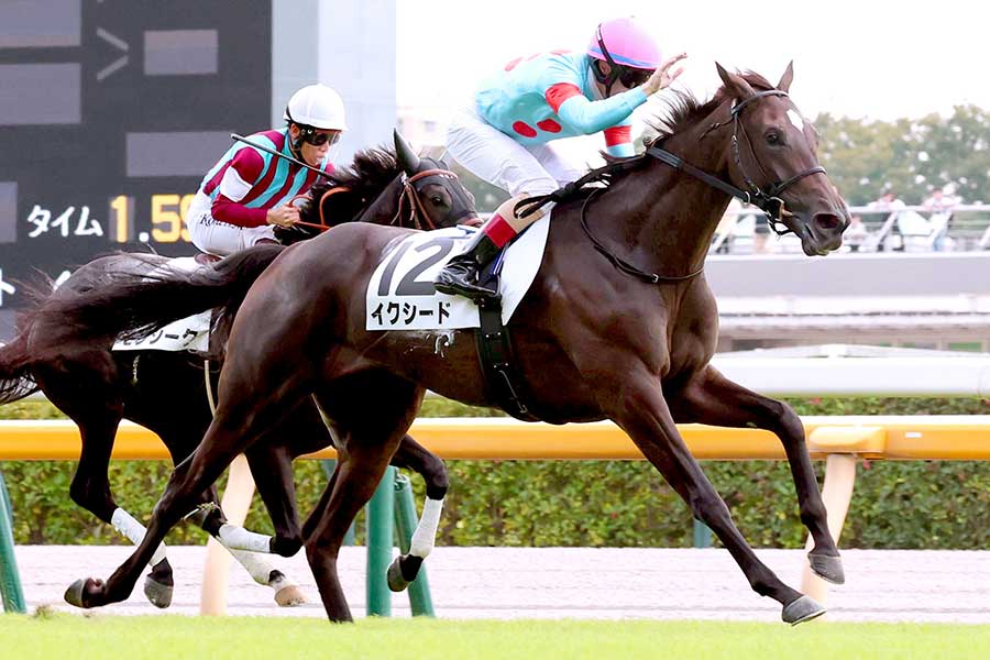 イクシード（2025年10月撮影）【写真：スポーツ報知/アフロ】