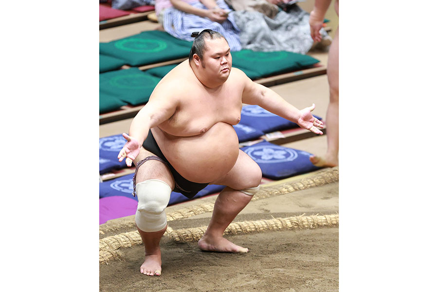 千代丸（2025年9月撮影）【写真：産経新聞社】