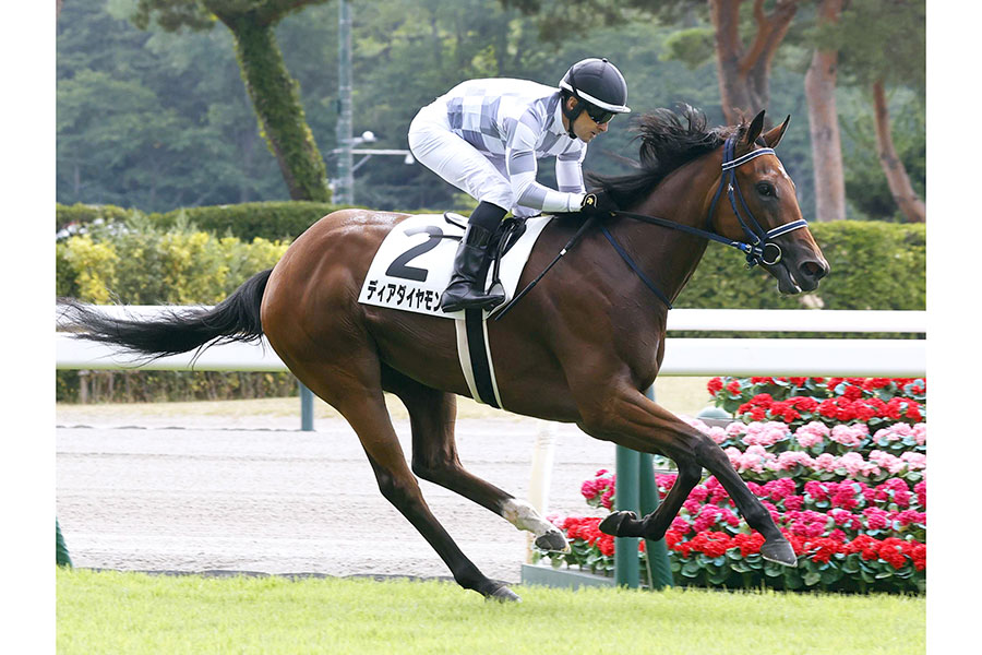 ディアダイヤモンド（2025年7月撮影）【写真：スポーツ報知/アフロ】