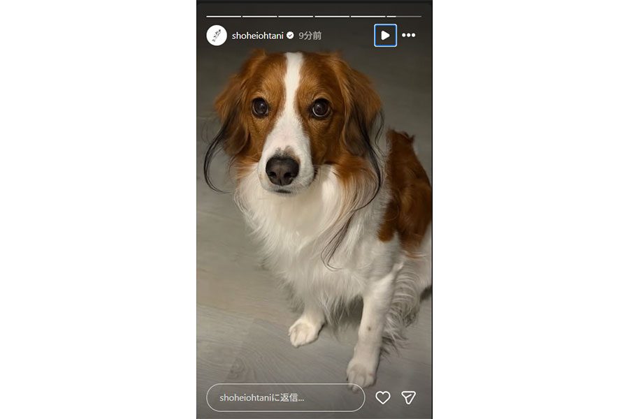 大谷が試合後に公開したデコピン（画像は大谷インスタグラムストーリーのスクリーンショット）