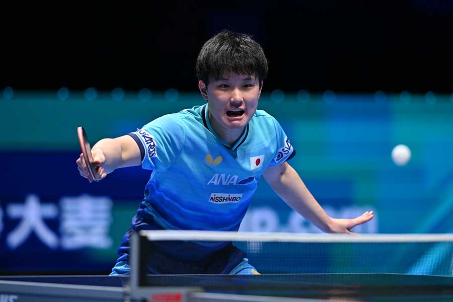 張本智和【写真：WTT提供】