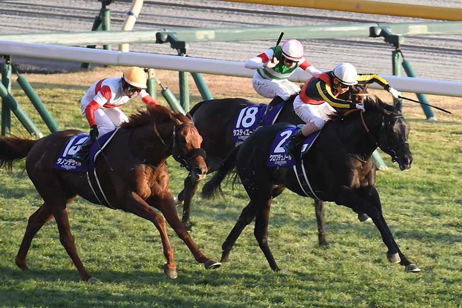 G1大阪杯に出走するダノンデサイル（左）とクロワデュノール（写真は2025年ジャパンカップ）【写真：産経新聞社】