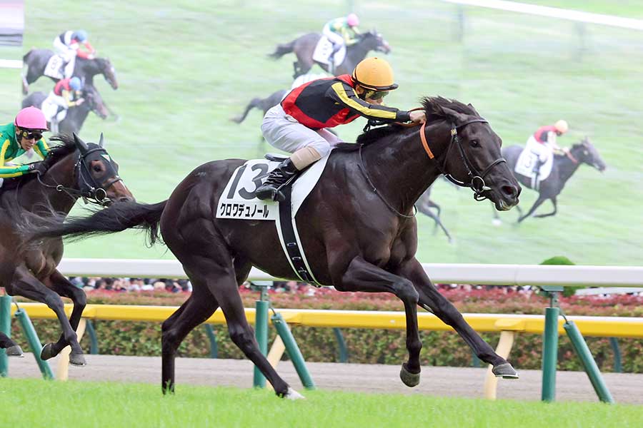 G1大阪杯に出走するクロワデュノール（写真は2025年日本ダービー）【写真：スポーツ報知/アフロ】