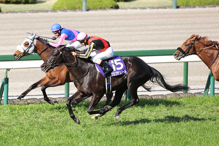 G1大阪杯を制したクロワデュノール（中央）【写真：産経新聞社】