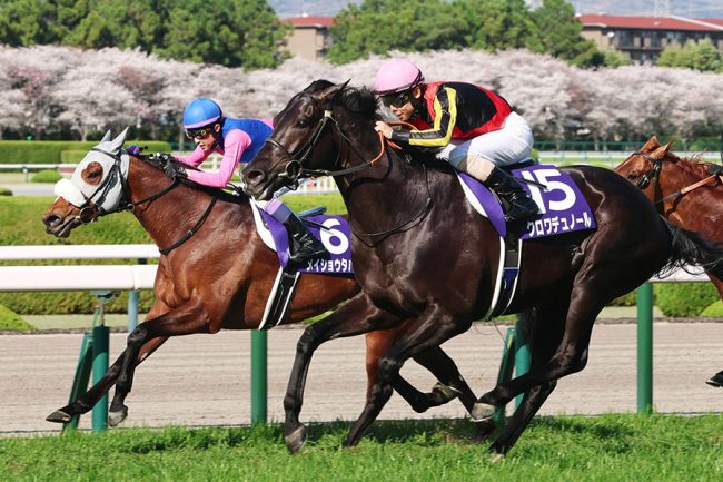 【値下対応可☻コメント欄にて】武豊ジョッキー、スポーツ紙記事まとめ 意味深やね」 V騎手を祝福直後…武豊が発した