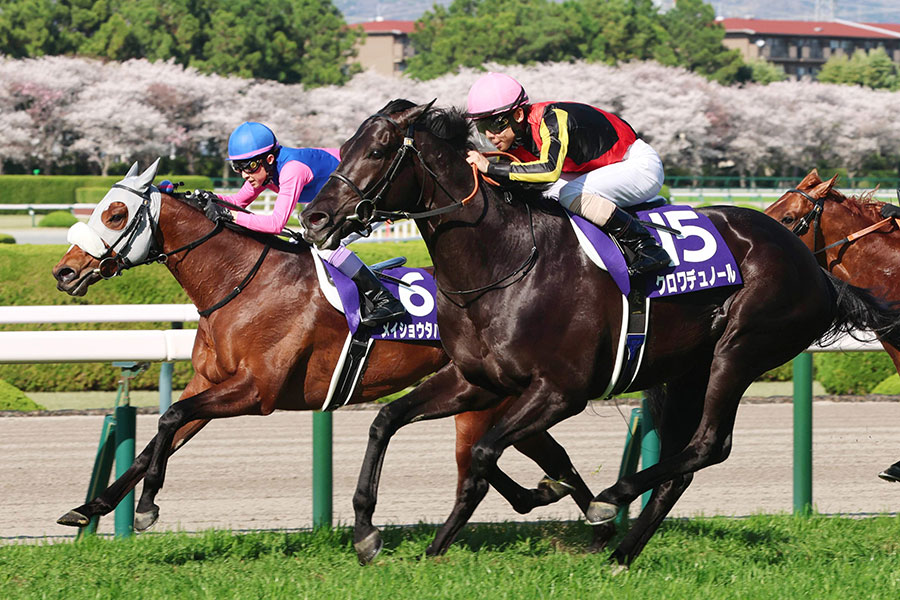 北村友一騎手騎乗のクロワデュノール（右）が武豊騎手騎乗のメイショウタバル（左）をゴール前で差し切る【写真：スポーツ報知/アフロ】