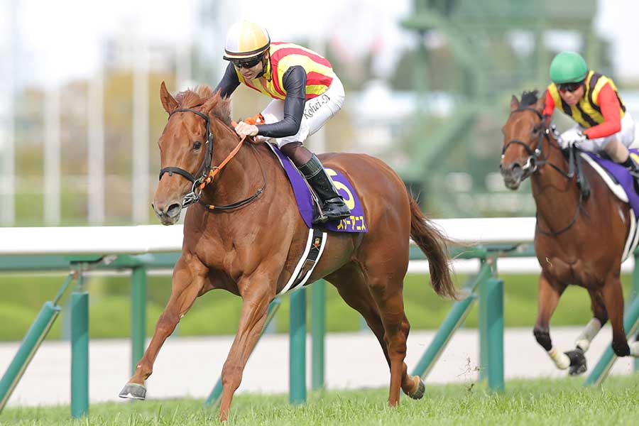 G1桜花賞で優勝したスターアニス（手前）【写真：産経新聞社】