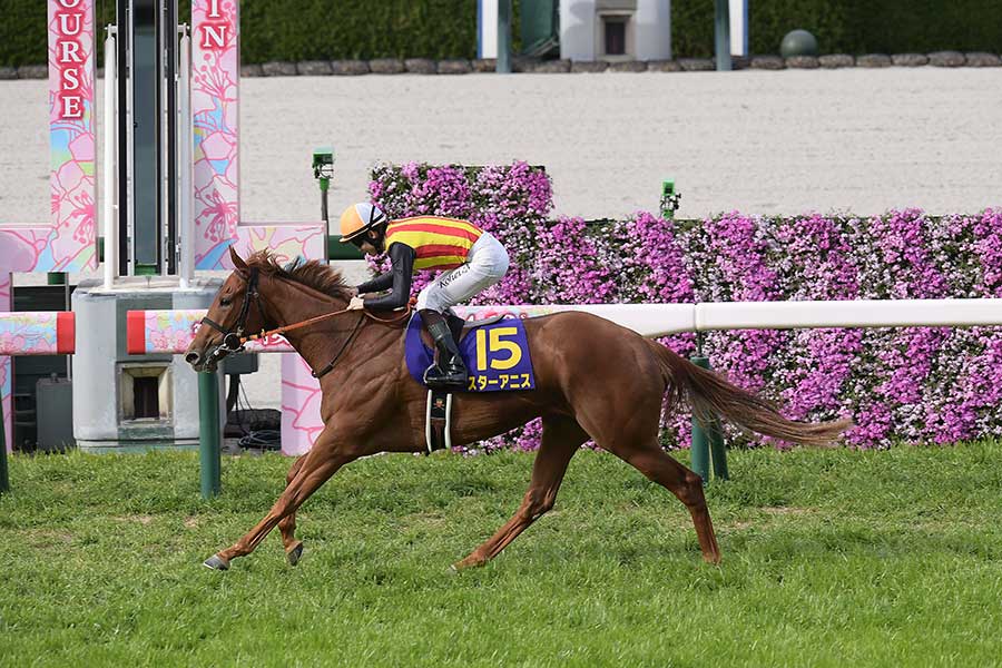 G1桜花賞で優勝したスターアニス【写真:産経新聞社】