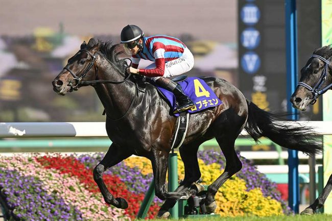 G1皐月賞で競馬ファン悲鳴「どこいった」「うおおってなったけど…」 2