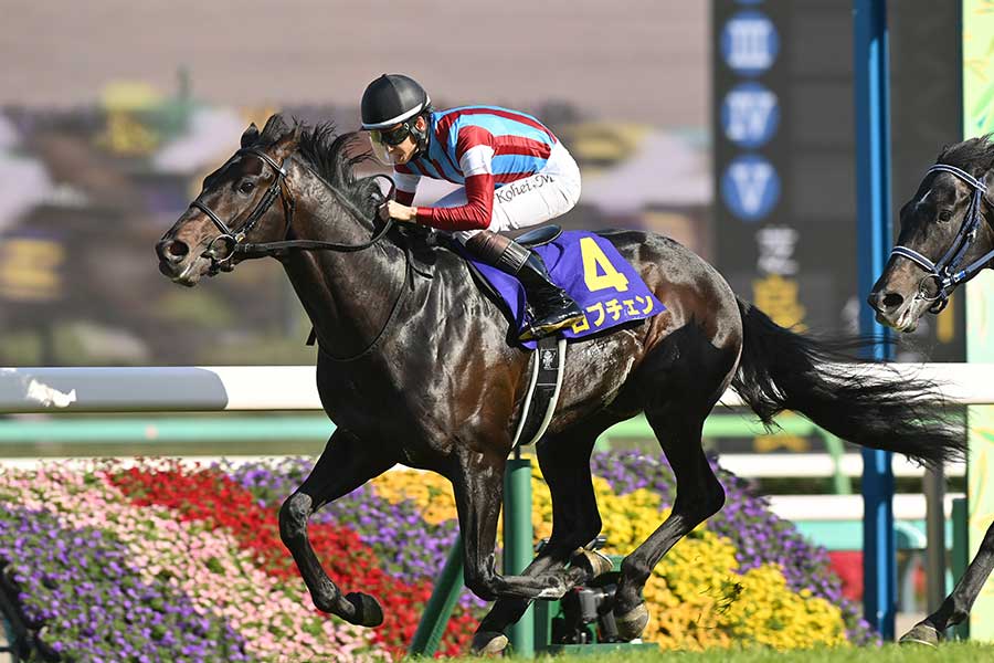 G1・皐月賞をコースレコードで制したロブチェン【写真：産経新聞社】