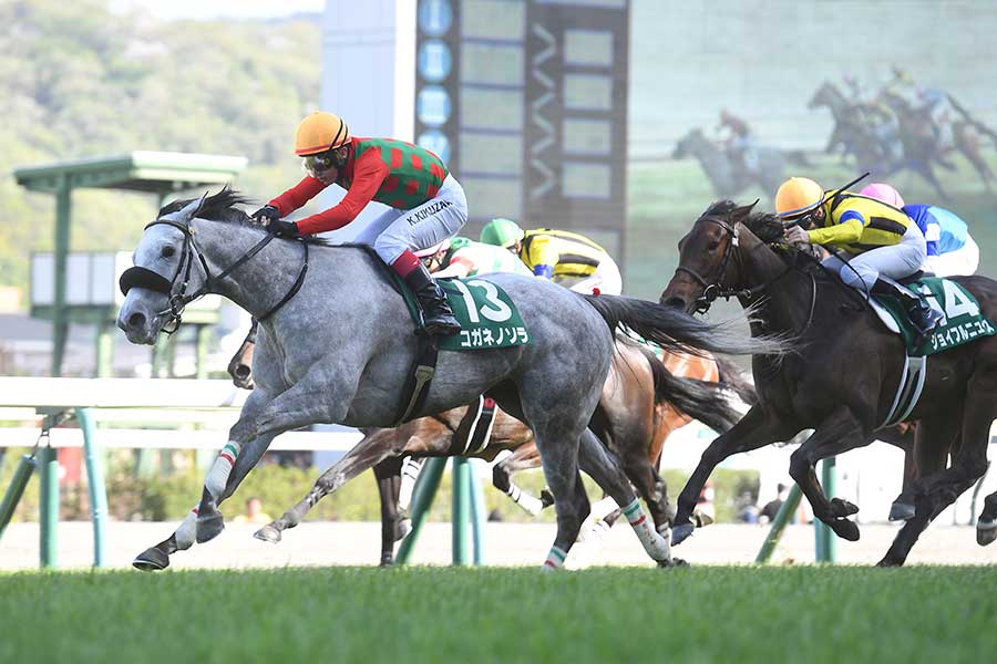 「福島牝馬ステークス」を制したコガネノソラ（左）【写真：産経新聞社】