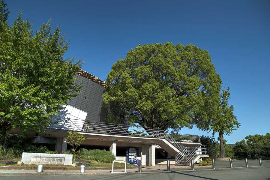 熊本の藤崎台球場