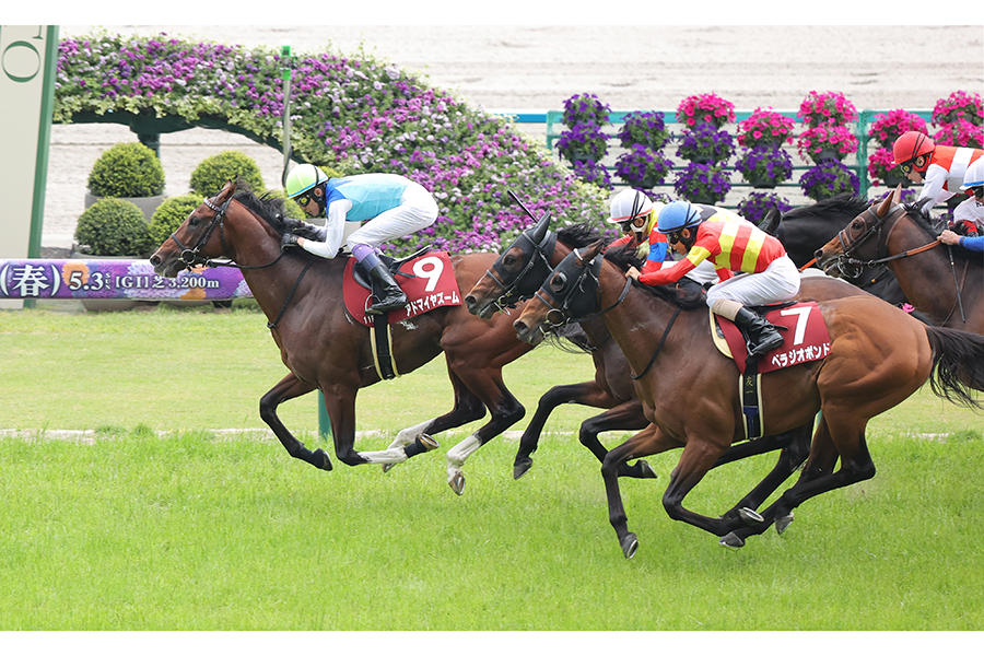 マイラーズカップを制したアドマイヤズーム（左）【写真：産経新聞社】