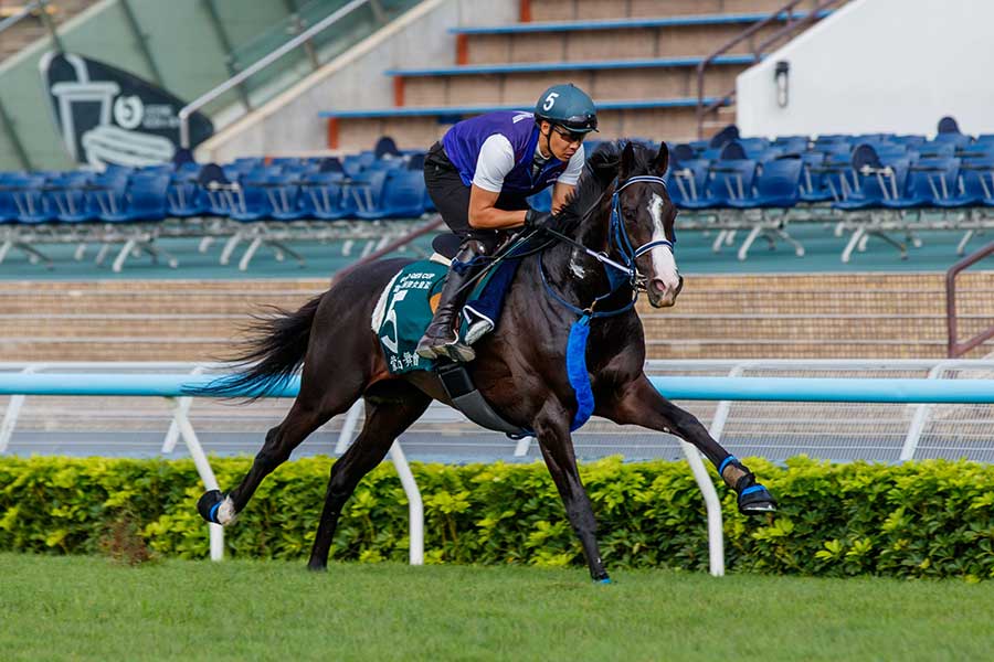 マスカレードボール【写真：REX/アフロ】