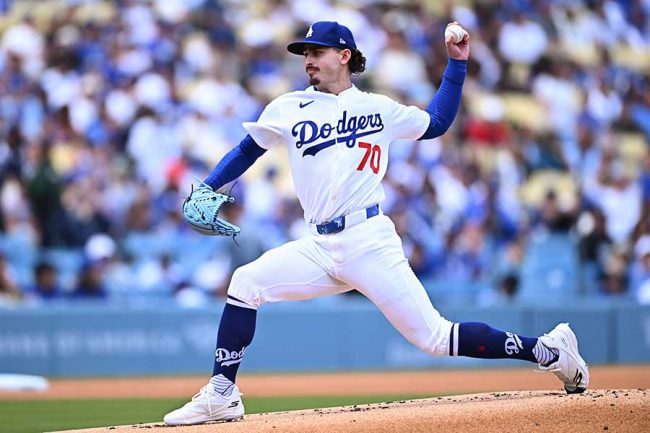 ドジャース戦で珍事 打者と捕手が同時にチャレンジ要求「2人とも