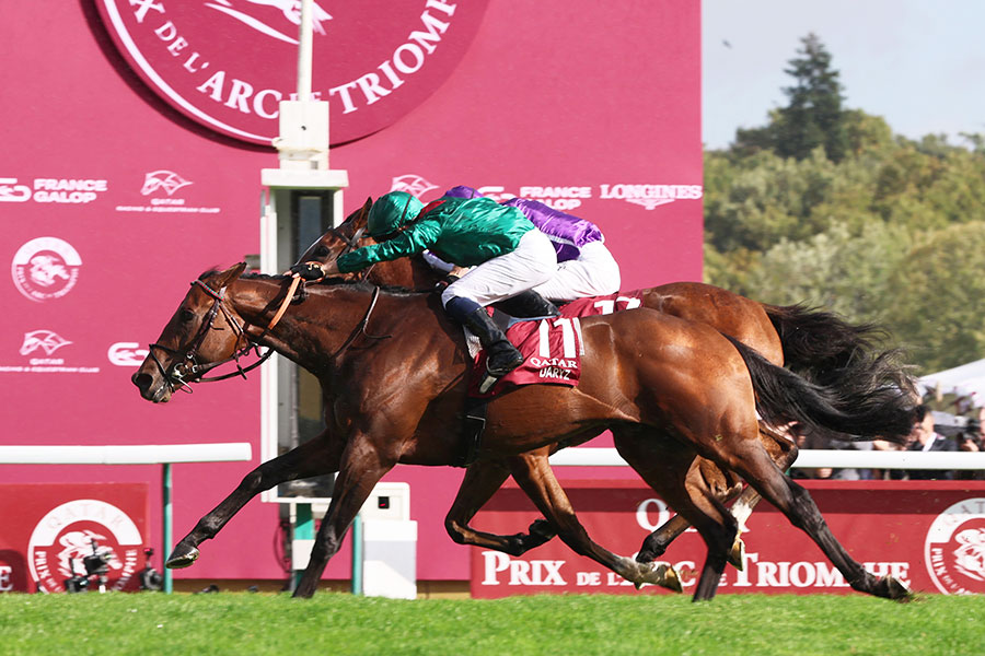 昨年の凱旋門賞を制したダリズ【写真：アフロ】