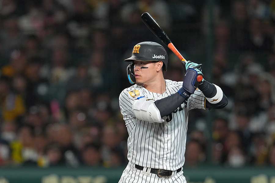 阪神の佐藤輝明【写真：産経新聞社】