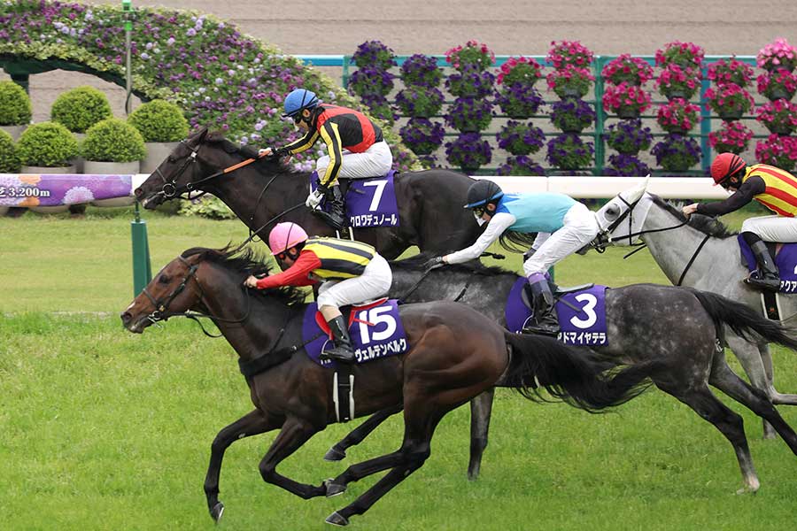G1天皇賞・春で大接戦を制したクロワデュノール（中央上）【写真：スポーツ報知/アフロ】