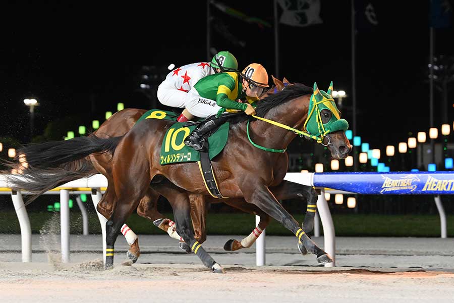 Jpn1・かしわ記念を制したウィルソンテソーロ(手前)【写真:産経新聞社】