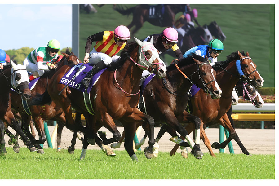 東京競馬場で行われたG1・NHKマイルカップ【写真：産経新聞社】