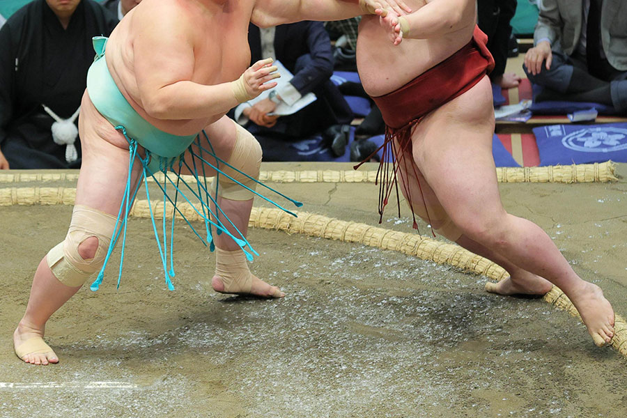 土俵際の席で観戦していた人物に、視聴者が釘付けになった（画像はイメージ）【写真：スポーツ報知/アフロ】