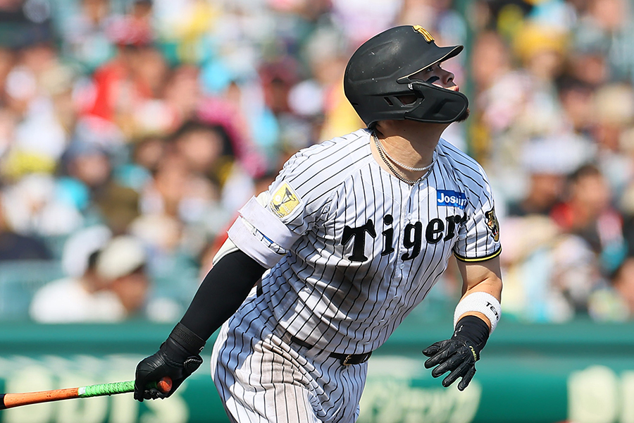 11号ソロを放った阪神の佐藤輝明【写真：産経新聞社】