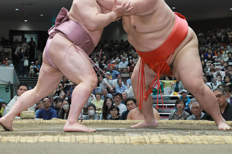 大相撲中継、溜席で映った名ボクサーが話題となった(画像はイメージ)【写真:スポーツ報知/アフロ】