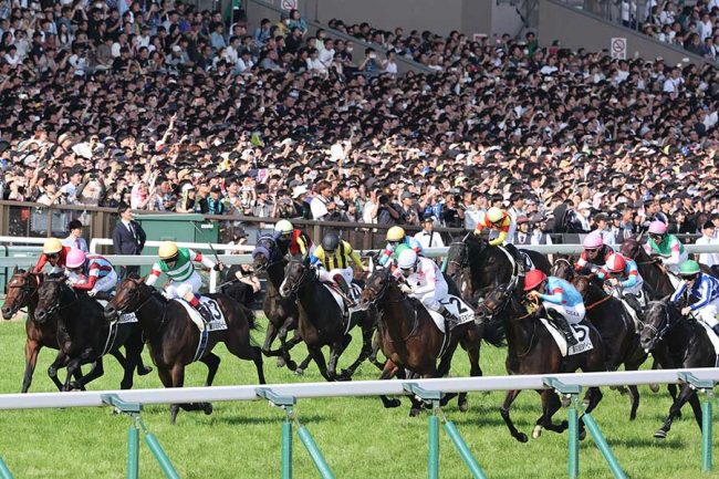 日本ダービー発走直前に発見…貴重すぎる武豊が大反響「意外な一面を見