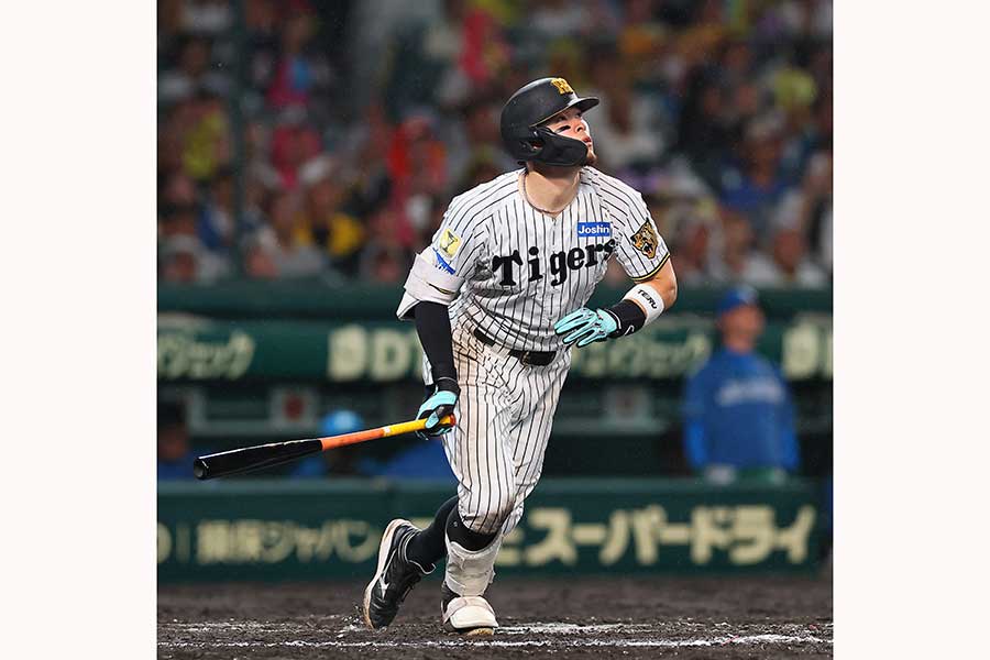 阪神の佐藤輝明【写真:産経新聞社】