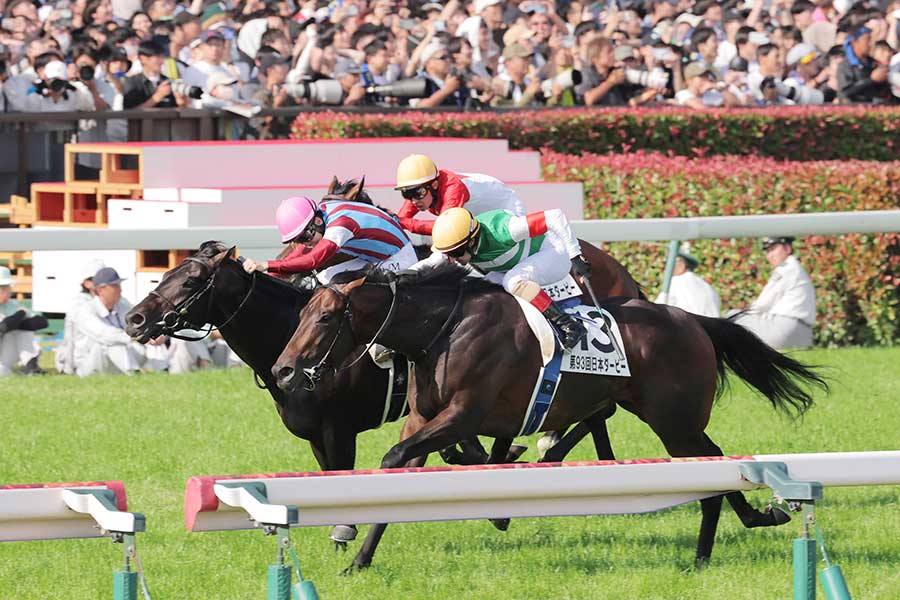 G1日本ダービーを制したロブチェン【写真:スポーツ報知/アフロ】