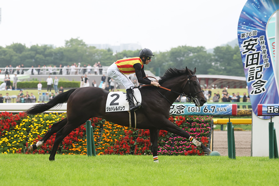 東京5Rの2歳新馬(芝1800メートル)を制したジョドレルバンク【写真:産経新聞社】