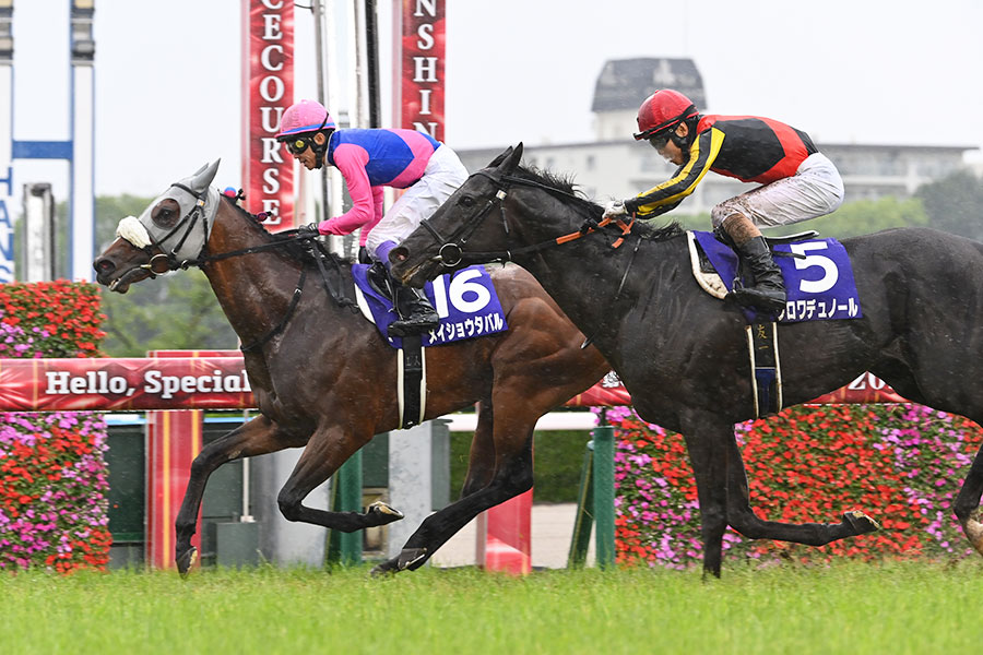 G1・宝塚記念を制したメイショウタバル(左)【写真:産経新聞社】