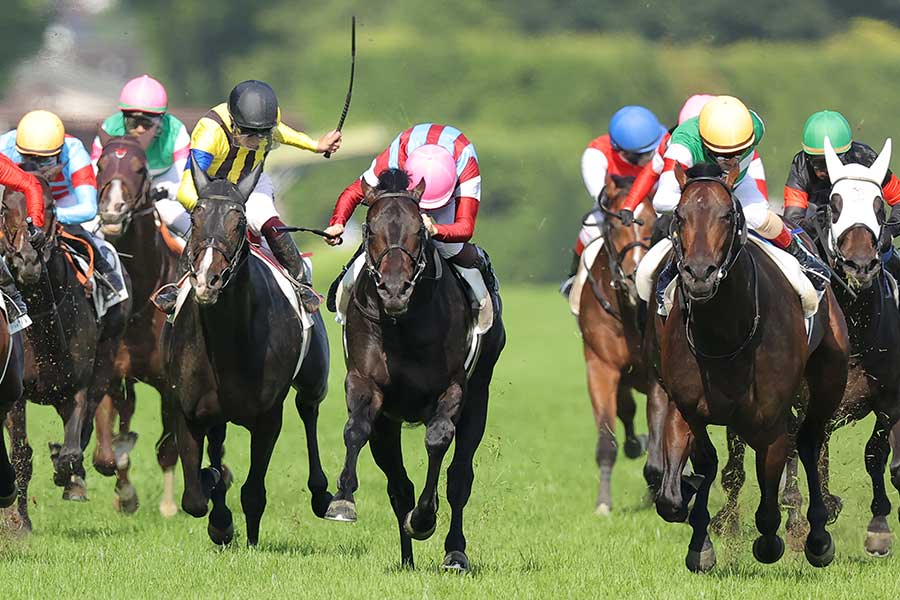 G1日本ダービーを制したロブチェン（中央）【写真：産経新聞社】