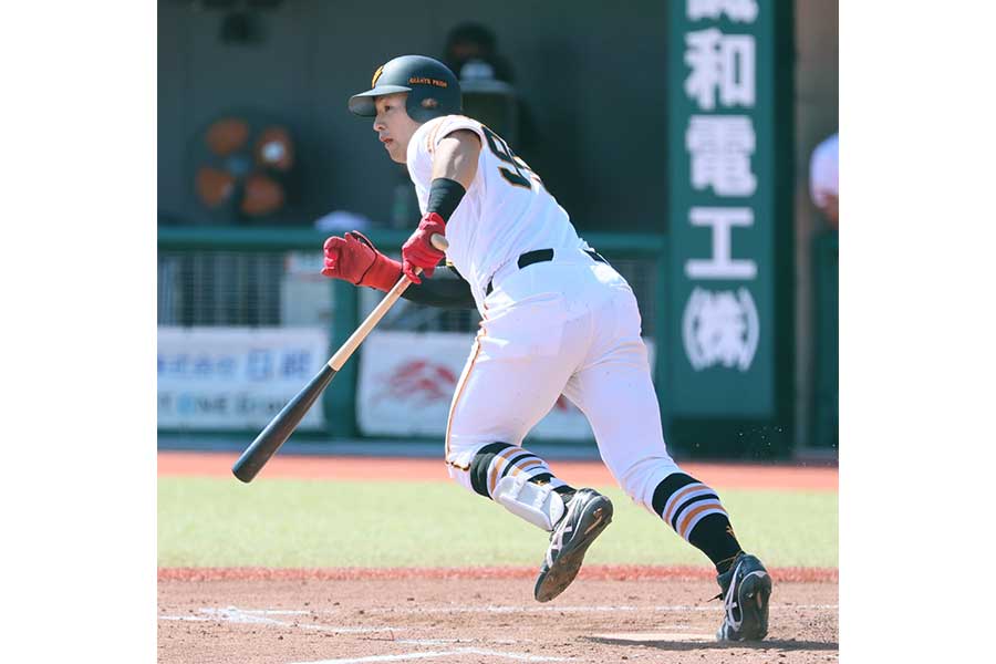 巨人の藤井健翔【写真:スポーツ報知/アフロ】