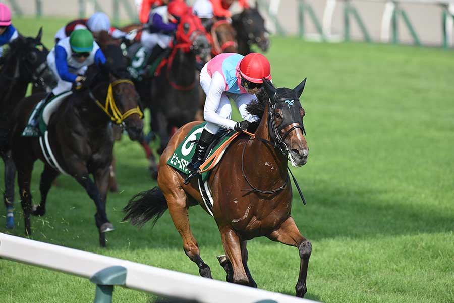 G3・アイビスサマーダッシュを制したピューロマジック【写真:産経新聞社】