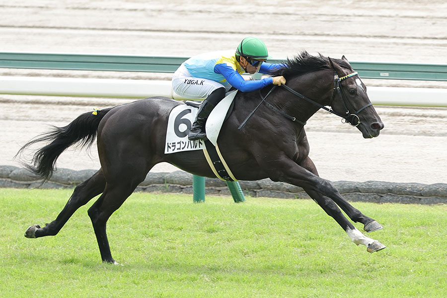 中京3R・2歳新馬(芝2000メートル)を快勝したドラゴンバルド【写真:産経新聞社】